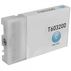 G&G tindikassett Epson C13T603200 T603200 Stylus Pro 7880 Pro 9880 - hind ja info | Tindiprinteri kassetid | kaup24.ee