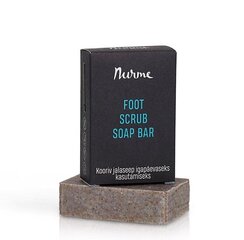 Foot Scrub Soap Bar, 100g цена и информация | Мыло | kaup24.ee