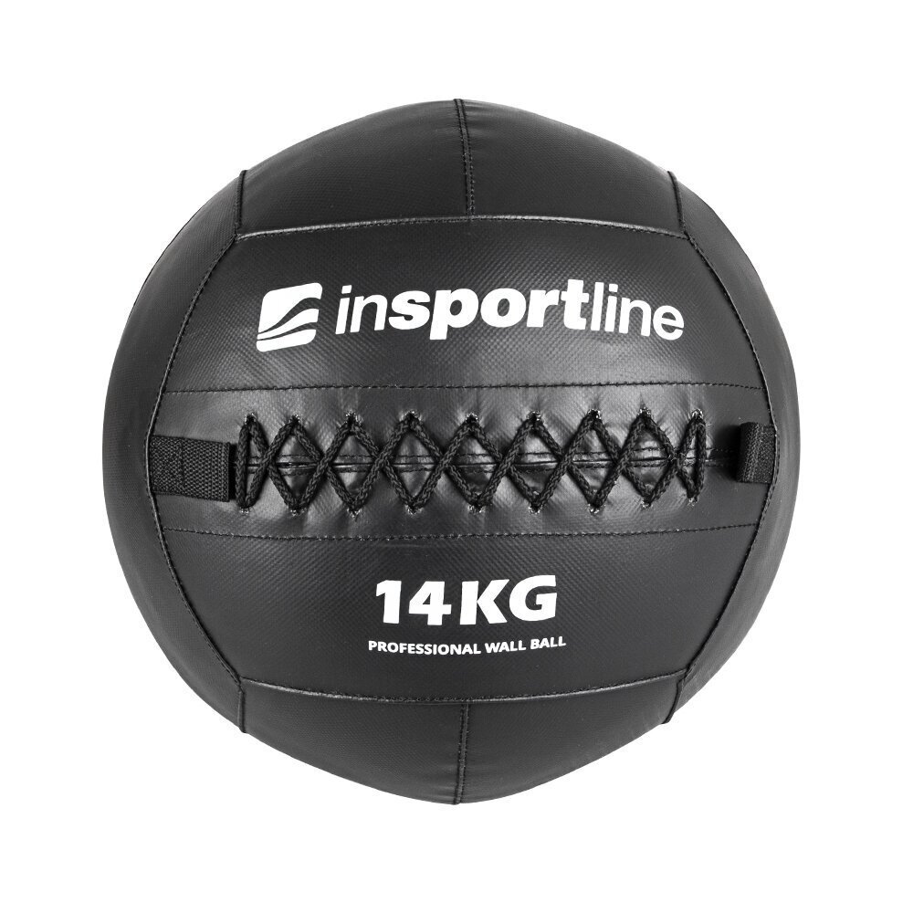 Raskuspall inSPORTline Walbal SE 14kg цена и информация | Topispallid | kaup24.ee