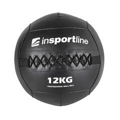Raskuspall inSPORTline Walbal SE 12kg hind ja info | Topispallid | kaup24.ee
