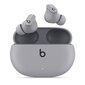 Beats Studio Buds TWS – Moon Grey MMT93ZM/A цена и информация | Kõrvaklapid | kaup24.ee