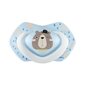 Canpol Babies silikoonist sümmeetriline lutt Bonjour Paris, 0-6 elukuud, 2 tk, 22/647 цена и информация | Lutid | kaup24.ee