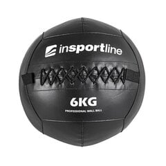 Raskuspall inSPORTline Walbal SE 6kg hind ja info | Insportline Sport, puhkus, matkamine | kaup24.ee