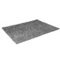 Vaip Shaggy Light Grey, 40x60 cm цена и информация | Vaibad | kaup24.ee