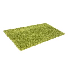 Vaip Shaggy Light Green, 40x60 cm цена и информация | Ковры | kaup24.ee