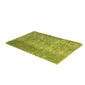 Vaip Shaggy Light Green, 40x60 cm hind ja info | Vaibad | kaup24.ee