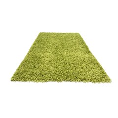 Vaip Shaggy Light Green, 80x150 cm цена и информация | Ковры | kaup24.ee