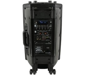 Аккумуляторная аудиосистема QX12PA-PLUS, 2 беспроводных микрофона UHF, USB / SD / FM / Bluetooth, 12 дюймов цена и информация | Аудиоколонки | kaup24.ee