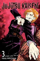 Koomiksid Manga Jujutsu kaisen Vol 3 hind ja info | Koomiksid | kaup24.ee