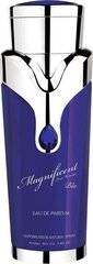 Туалетная вода Armaf Magnificent Blue Pour Homme EDP для мужчин, 100 мл цена и информация | Мужские духи | kaup24.ee