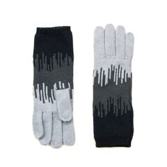 Art of Polo Перчатки | черные, серый rk15307-1 цена и информация | Женские перчатки | kaup24.ee