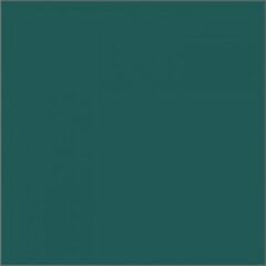 Акриловая краска E1, 300 мл цена и информация | Принадлежности для рисования, лепки | kaup24.ee