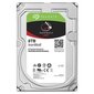 HDD Seagate NAS IronWolf 8TB 3,5" ST8000VN004 цена и информация | Sisemised kõvakettad (HDD, SSD, Hybrid) | kaup24.ee