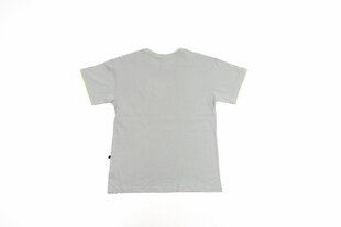 Poiste T-särk цена и информация | Рубашки для мальчиков | kaup24.ee