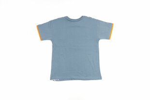 Poiste T-särk цена и информация | Рубашки для мальчиков | kaup24.ee