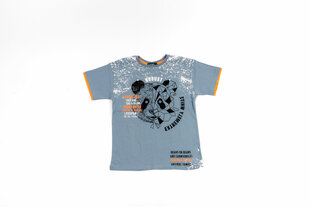 Футболка для мальчиков цена и информация | Рубашки для мальчиков | kaup24.ee