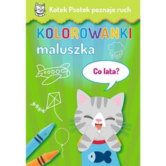 Värviraamat - Mis lendab? цена и информация | Книжки - раскраски | kaup24.ee