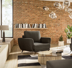 Кресло NORE Megis, темно-коричневое цена и информация | Кресла в гостиную | kaup24.ee