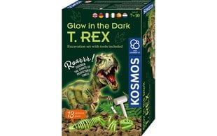 Loominguline komplekt Glow in the dark T.Rex, 7+ a цена и информация | Развивающие игрушки | kaup24.ee