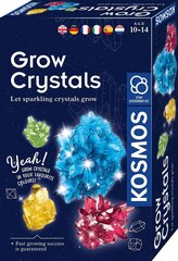 Креативный набор Grow Crystal, 10 лет+ цена и информация | Развивающие игрушки и игры | kaup24.ee