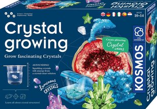 Loominguline komplekt Crystal Growing, 10+ aastat цена и информация | Развивающие игрушки | kaup24.ee