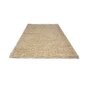 Vaip Shaggy Light Sand 60x100 cm цена и информация | Vaibad | kaup24.ee