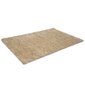 Vaip Shaggy Light Sand 120x170 cm hind ja info | Vaibad | kaup24.ee