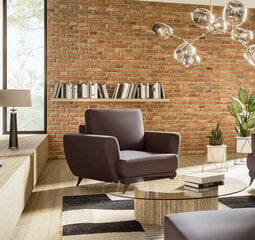 Кресло NORE Megis, коричневое цена и информация | Кресла в гостиную | kaup24.ee