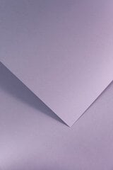 Tekstuurne kartong Gladki, lavendel, 210 g, 20 lehte hind ja info | Vihikud, märkmikud ja paberikaubad | kaup24.ee