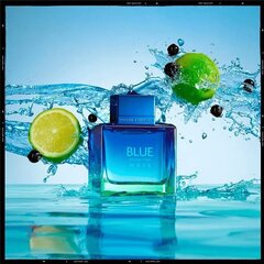 Parfüümvesi Antonio Banderas Blue Seduction Wave EDT meestele 100 ml hind ja info | Meeste parfüümid | kaup24.ee