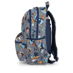 Школьный рюкзак Dragon цена и информация | Школьные рюкзаки, спортивные сумки | kaup24.ee