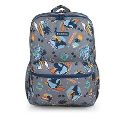 Школьный рюкзак Dragon цена и информация | Школьные рюкзаки, спортивные сумки | kaup24.ee