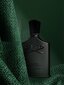 Parfüümvesi Creed Green Irish Tweed EDP meestele 50 ml цена и информация | Meeste parfüümid | kaup24.ee