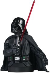 Звездные войны A New Hope Darth Vader, фигурка цена и информация | Атрибутика для игроков | kaup24.ee