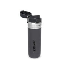 Термобутылка The Quick Flip Water Bottle Go, 1.06 л, серая цена и информация | Столовые и кухонные приборы | kaup24.ee