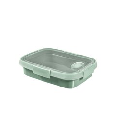 Экологические стаканы Go Green, 350 мл, 10 шт, 0,10 кг цена и информация | Посуда для хранения еды | kaup24.ee