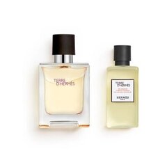 Komplekt Hermes Terre D'Hermes meestele: tualettvesi EDT 50 ml + dušigeel 40 ml цена и информация | Мужские духи | kaup24.ee