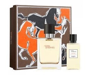 Komplekt Hermes Terre D'Hermes meestele: tualettvesi EDT 50 ml + dušigeel 40 ml hind ja info | Hermès Kosmeetika, parfüümid | kaup24.ee