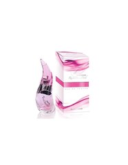 Туалетная вода Al Haramain Rain Dance Pink - EDP, 100 мл цена и информация | Женские духи | kaup24.ee