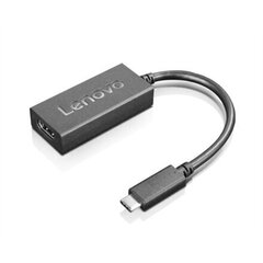 Kaabel Lenovo GX90R61025 цена и информация | Адаптеры и USB-hub | kaup24.ee