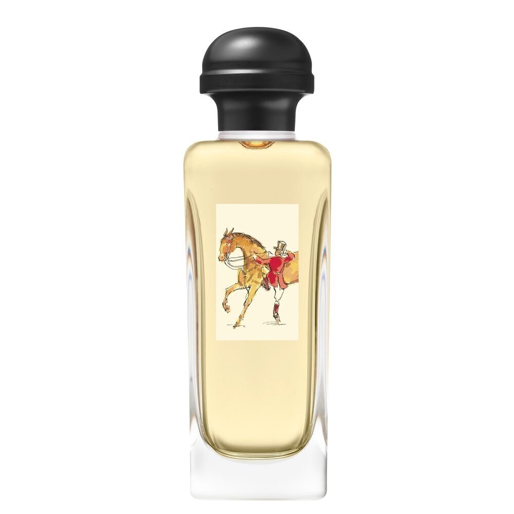 Tualettvesi Hermes Equipage EDT, 100 ml hind ja info | Meeste parfüümid | kaup24.ee
