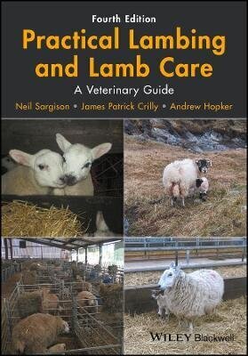 Practical Lambing And Lamb Care: A Veterinary Guide 4Th Edition цена и информация | Võõrkeele õppematerjalid | kaup24.ee