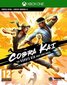 Cobra Kai: The Karate Kid Saga Continues, Xbox Series X hind ja info | Arvutimängud, konsoolimängud | kaup24.ee