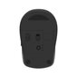 Delux Wireless mouse 2.4G M519GD black hind ja info | Hiired | kaup24.ee