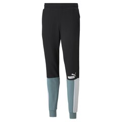 Puma Брюки Ess+ Block Sweatpants Черный White Mint 848007 50 цена и информация | Мужская спортивная одежда | kaup24.ee