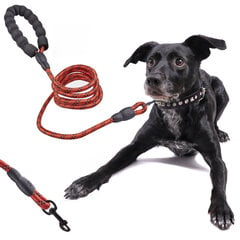 Поводок для собак на веревке прочный светоотражающий, 2 м цена и информация | Поводки для собак | kaup24.ee