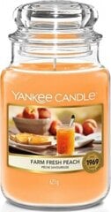 Ароматная свеча Yankee Candle Farm Fresh Peach 623 г цена и информация | Подсвечники, свечи | kaup24.ee