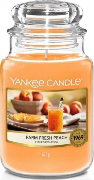 Lõhnaküünal Yankee Candle Farm Fresh Peach 623 g hind ja info | Küünlad, küünlajalad | kaup24.ee