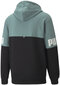 Puma Džemprid Puma Power Colorb Green 847390 50 847390 50/XL hind ja info | Meeste pusad | kaup24.ee