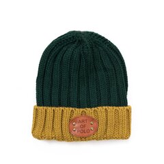 Art of Polo Müts | pudel roheline cz16919-2 hind ja info | Naiste mütsid ja peapaelad | kaup24.ee